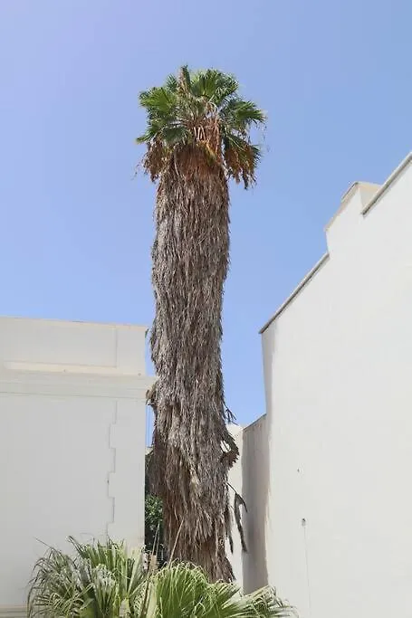 Small Double Room In Shared Colonial Guesthouse Las Palmas de Gran Canaria 0*,